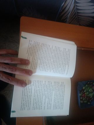 Libro lectura los tres peregrinos