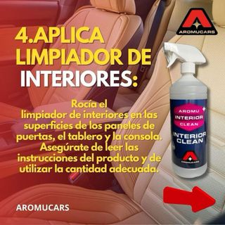 limpia interiores profesional para coche