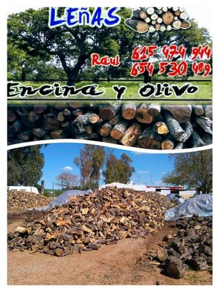 Leñas encinas y olivos