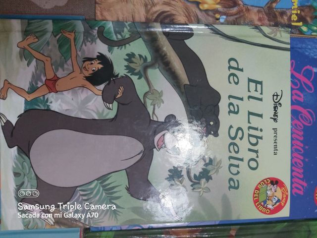 Libro Disney