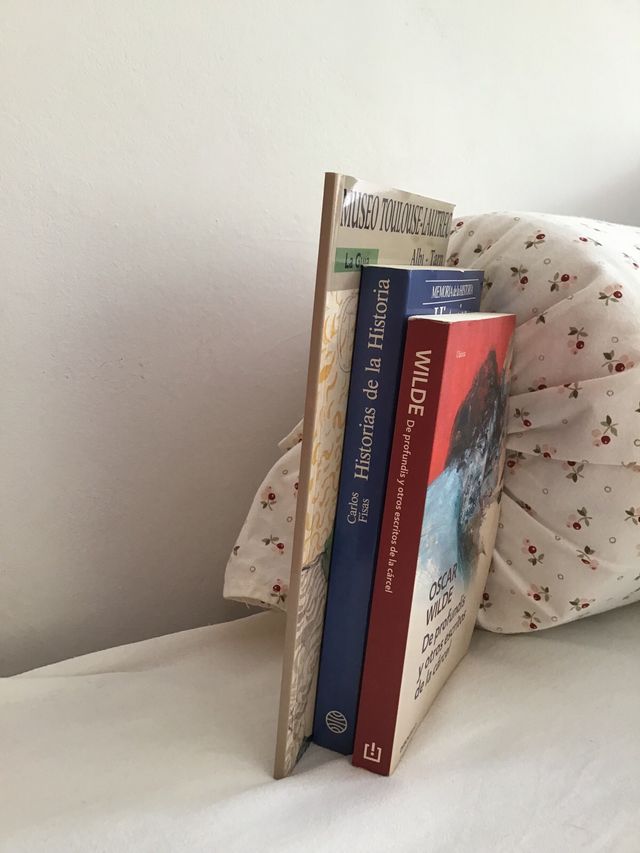 Historias de la Historia y Museo Toulouse-Lautrec