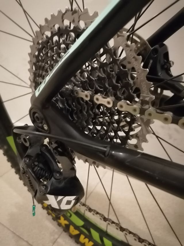 Cube Reaction C:62 Eagle 29"