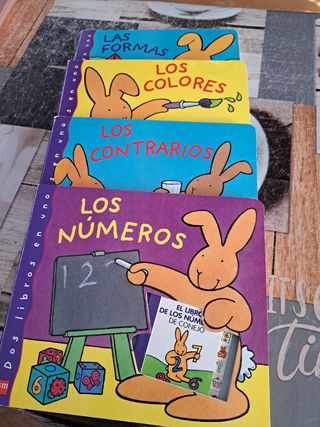 Lote 4 Libros infantiles conejo enseña niños/niñas