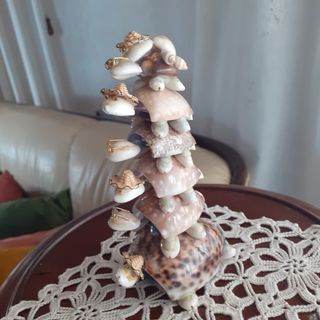 Tartarughine