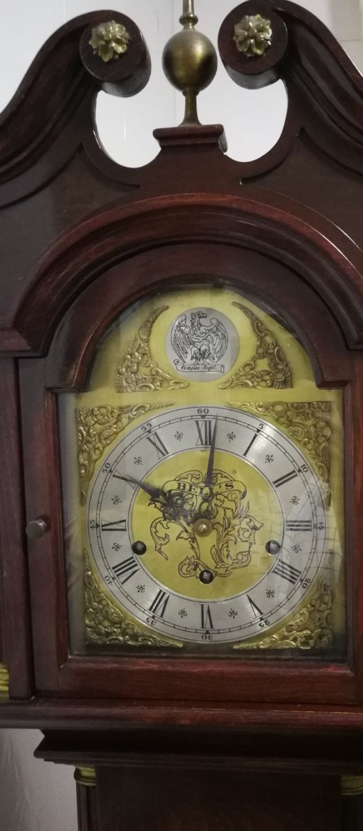 Reloj TEMPUS FUGIL (Bell's)