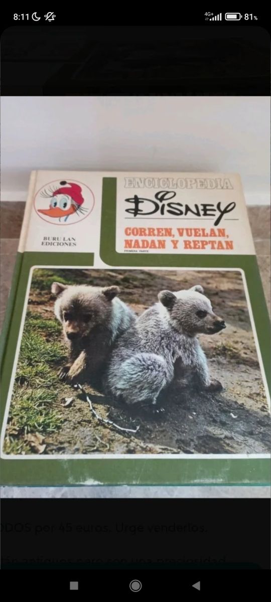 Collezione di libri Disney