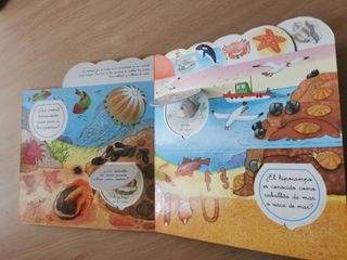 Los pequeños secretos del mar, libro de solapas