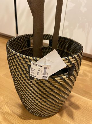 SOLO QUEDA EL MACETERO (planta vendida)