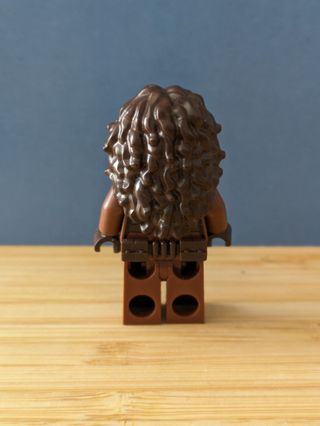 Lego The Book of Boba Fett: sw1210	 Peli Motto