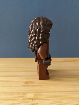 Lego The Book of Boba Fett: sw1210	 Peli Motto