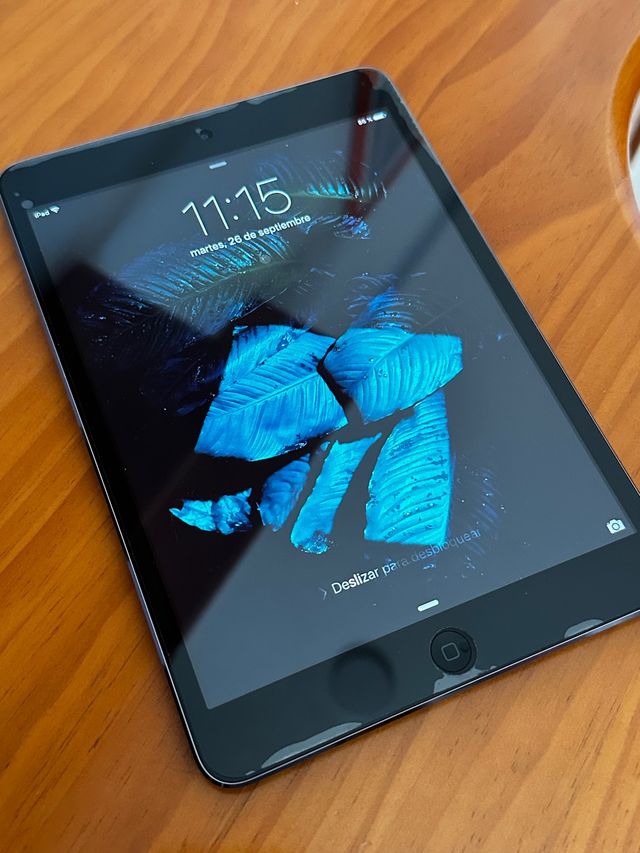 Ipad Mini 16Gb