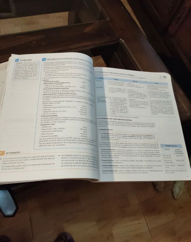 Formacion y Orientacion Laboral