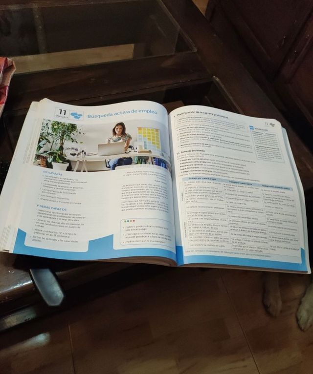 Formacion y Orientacion Laboral