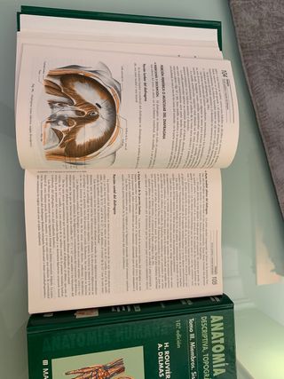 Libros Anatomía para Fisioterapia