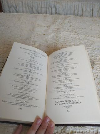 Novela picaresca española 