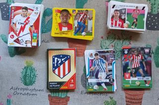 Se vende gran lote cromos