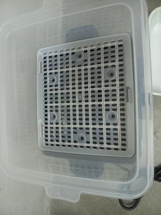 Cocedor electrónico al vapor