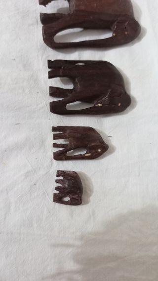 Famiglia di elefanti