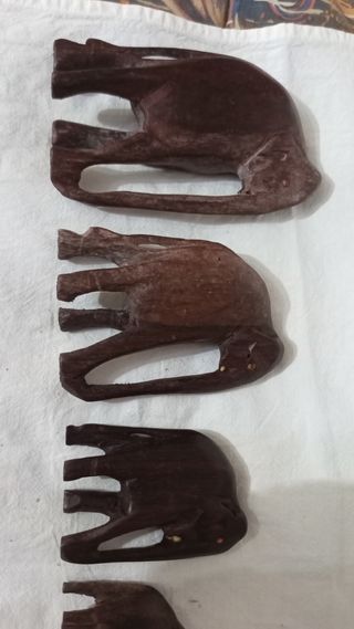 Famiglia di elefanti