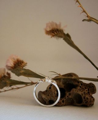 Anello in argento + regalo caja 