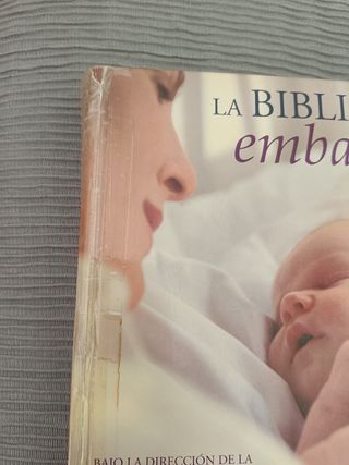 La biblia del Embarazo