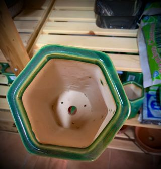 maceta Bonsai Cascada