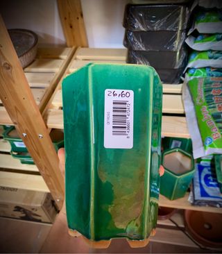 maceta Bonsai Cascada