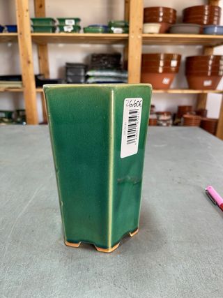 maceta Bonsai Cascada