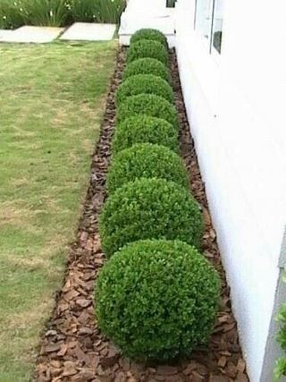 Jardinero