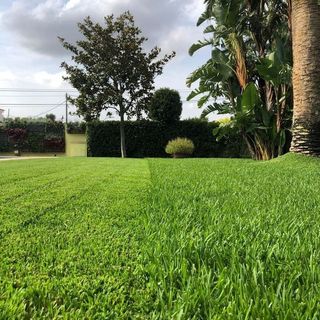Jardinero