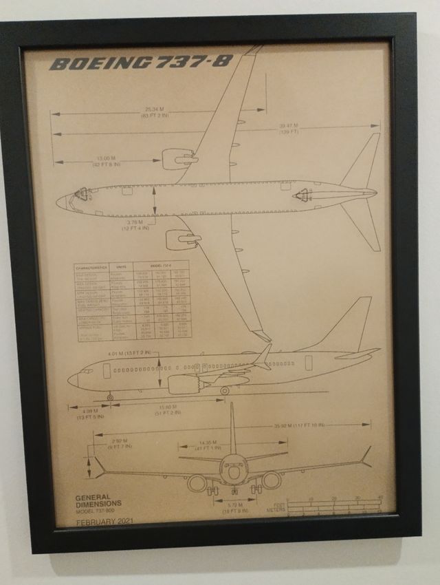 Cuadro Boeing 737-800