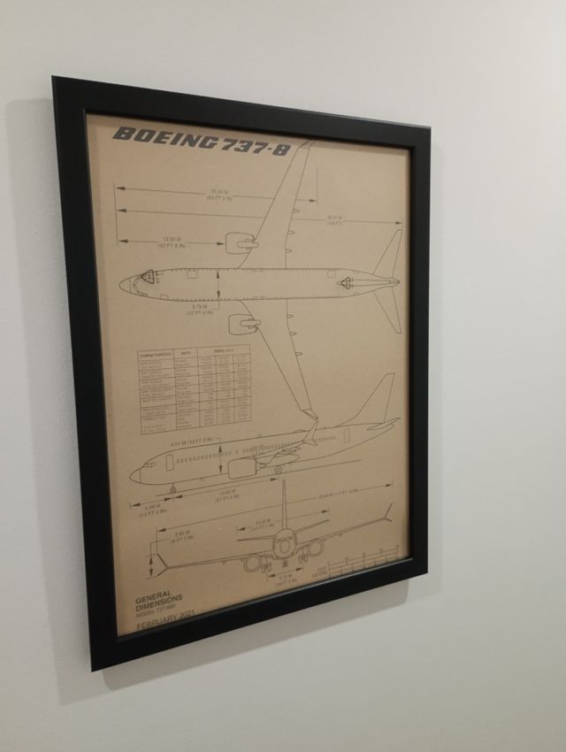 Cuadro Boeing 737-800