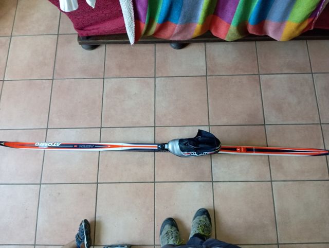 Esquís, botas y palos