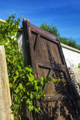 Portón antiguo de madera maciza