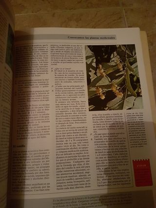 Escuela para padres Prodilsa
