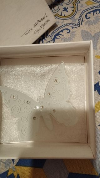 🦋 farfallina Gai Mattiolo