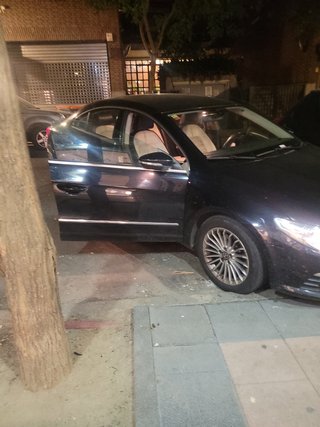 Volkswagen Passat CC 2010