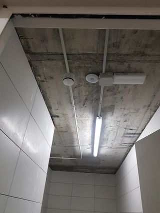 lampista