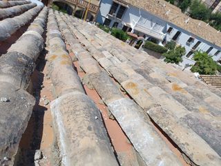 Cubiertas y tejas TLF.651429938