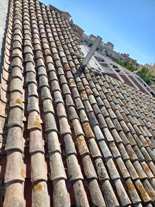 Cubiertas y tejas TLF.651429938