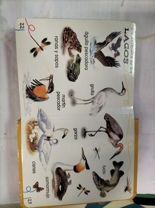 Me gustan los animales salvajes