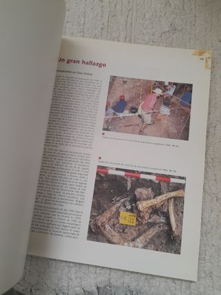 Atapuerca, nuestros antecesores