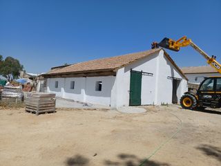 Cubiertas tejas TLF.651429938