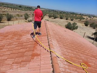 Cubiertas y tejas TLF.651429938