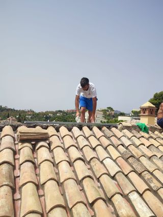 Cubiertas y tejas TLF.651429938