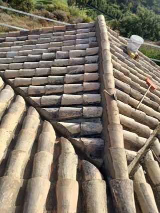 Cubiertas y tejas TLF.651429938