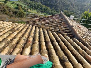 Cubiertas y tejas TLF.651429938