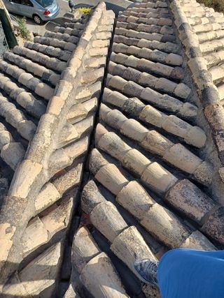 Cubiertas y tejas TLF.651429938