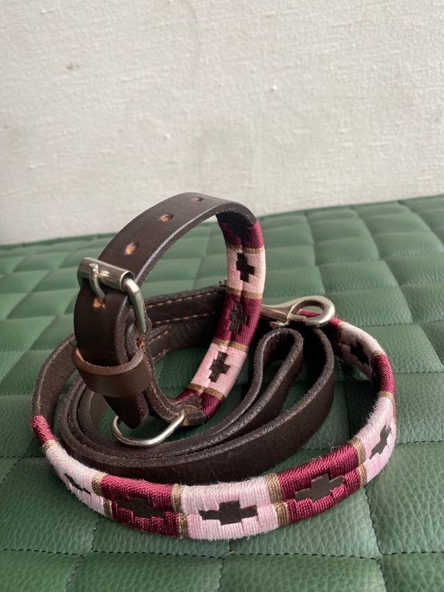 collare e guinzaglio stile Polo