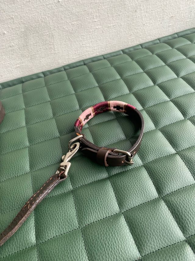 collare e guinzaglio stile Polo